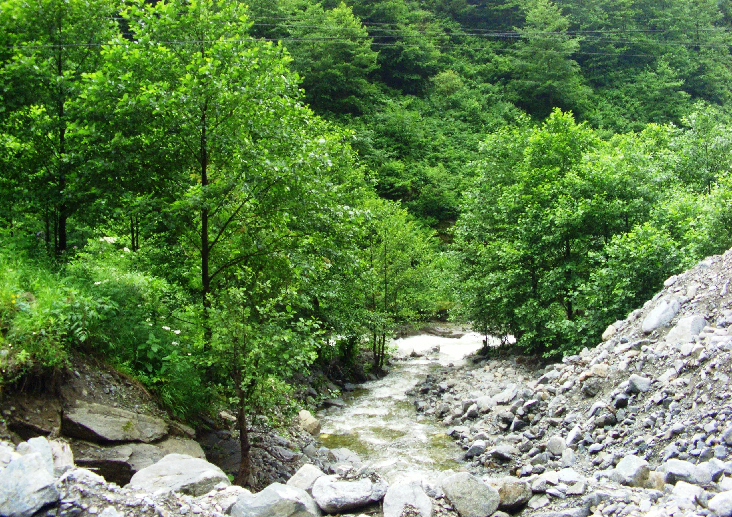 Black Sea and Batumi Tour from Kayseri route image 4