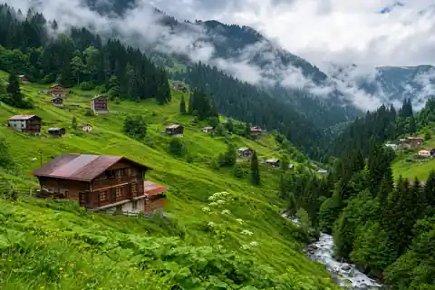 Karadeniz yaylaları
