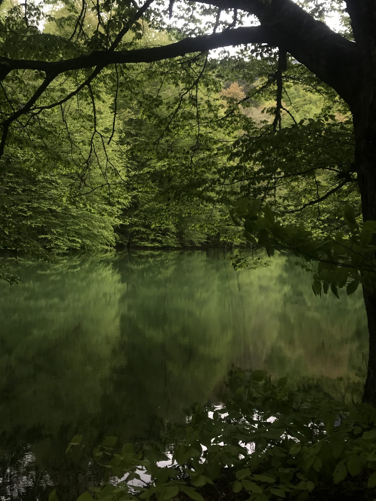 Yedigoller Nature wycieczka z Kayseri zdjęcie trasy 2
