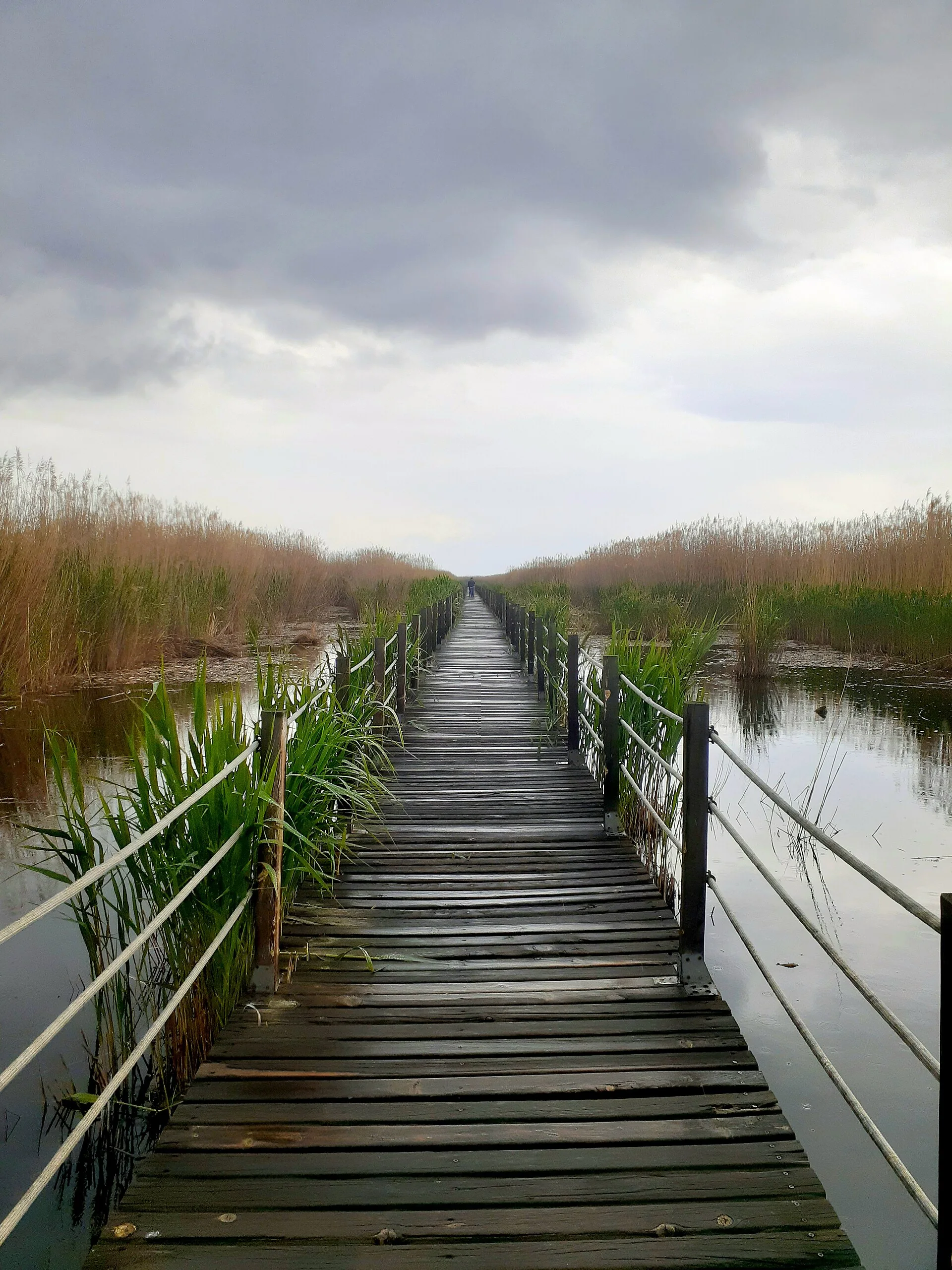 Wooden walking path through Sultan Marshes