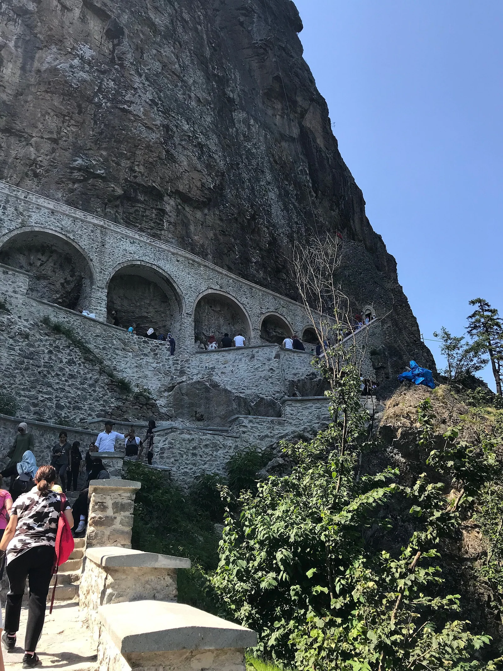 Doğu Mar Negro yaylası